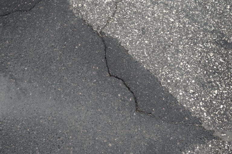 A crack in an asphalt road surface showing a mix of dark and light textures.
